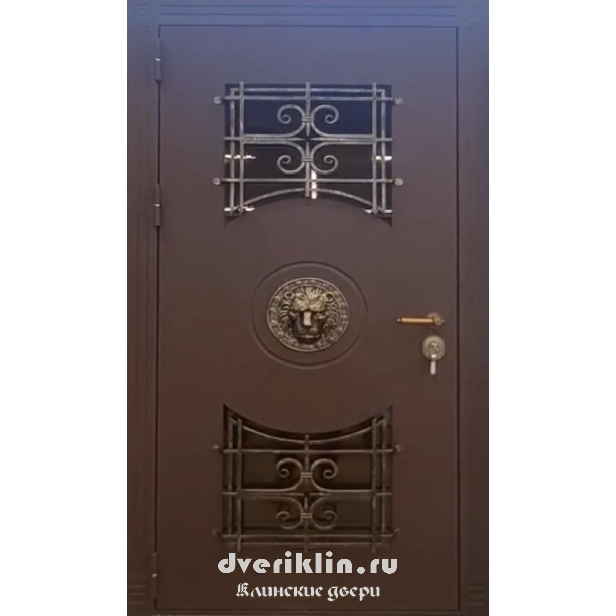 Дверь в коттедж MKD-25 (В коттедж)