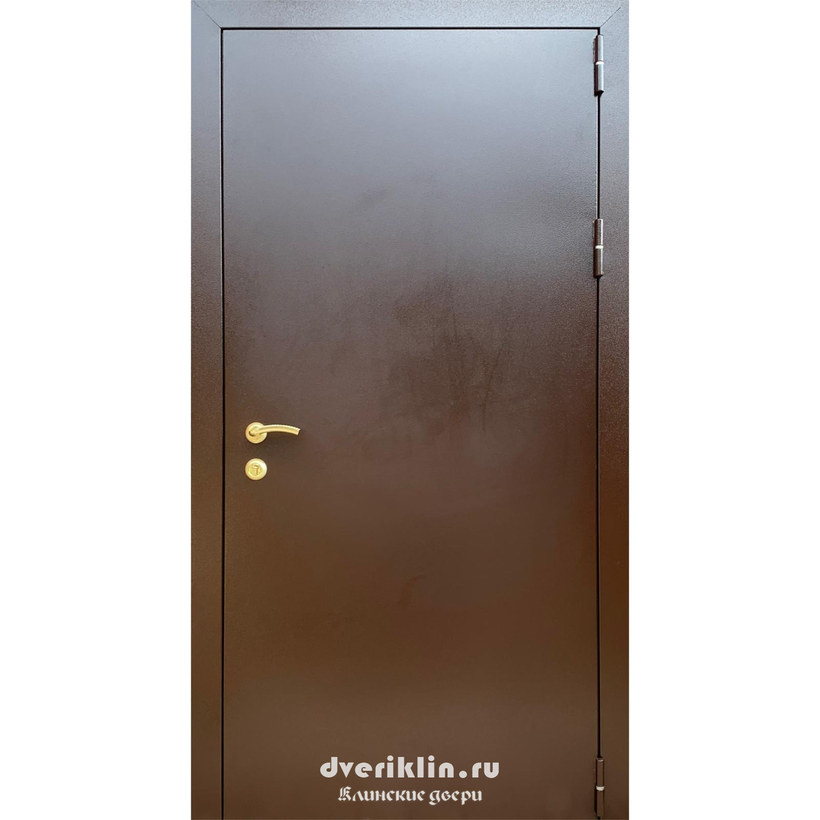 Техническая дверь TH-42 (Технические)