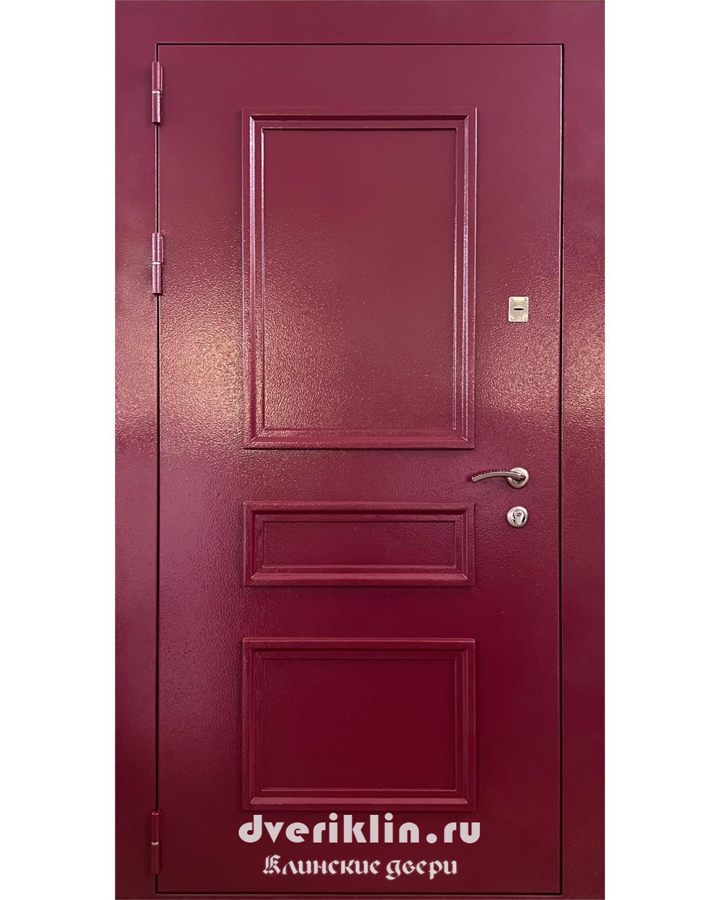 Дверь с рисунком на металле DPR-01 (С рисунком на металле)