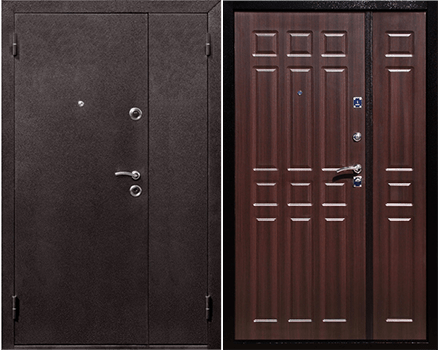 Тамбурная дверь DT11 (Тамбурные)
