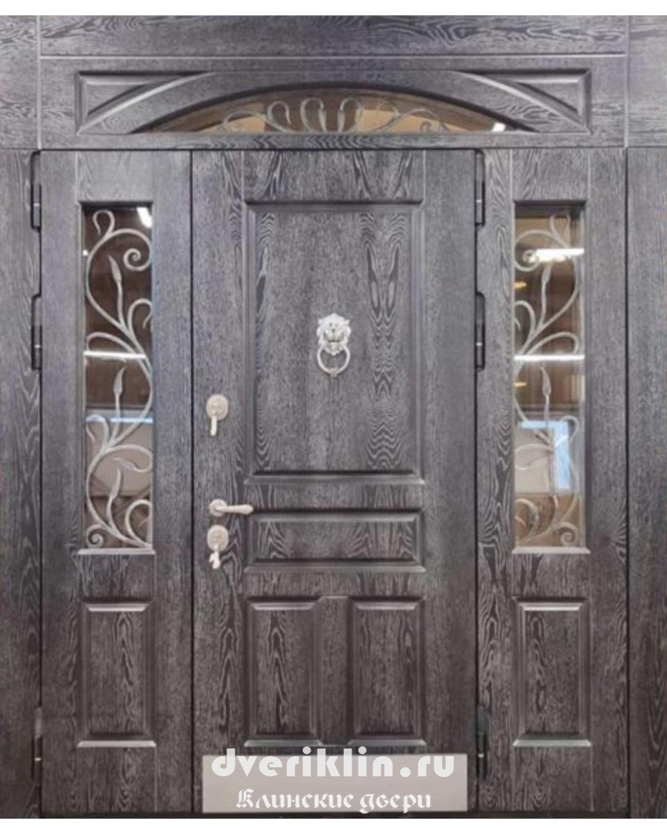 Дверь в дом MDD-19 (В частный дом)