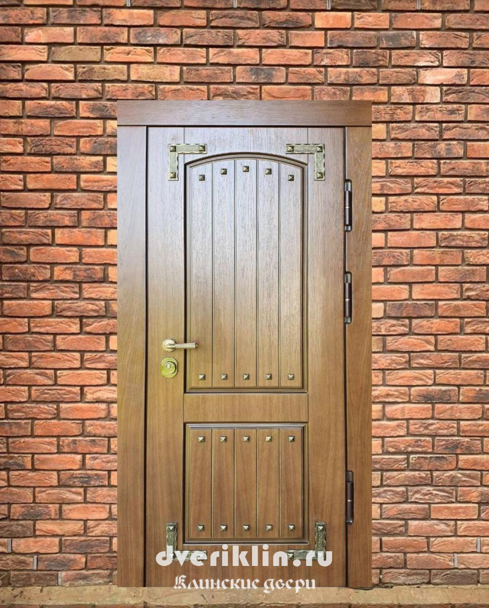 Дверь в дом MDD-55 (В частный дом)