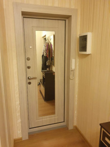 Входная дверь с зеркалом в квартире