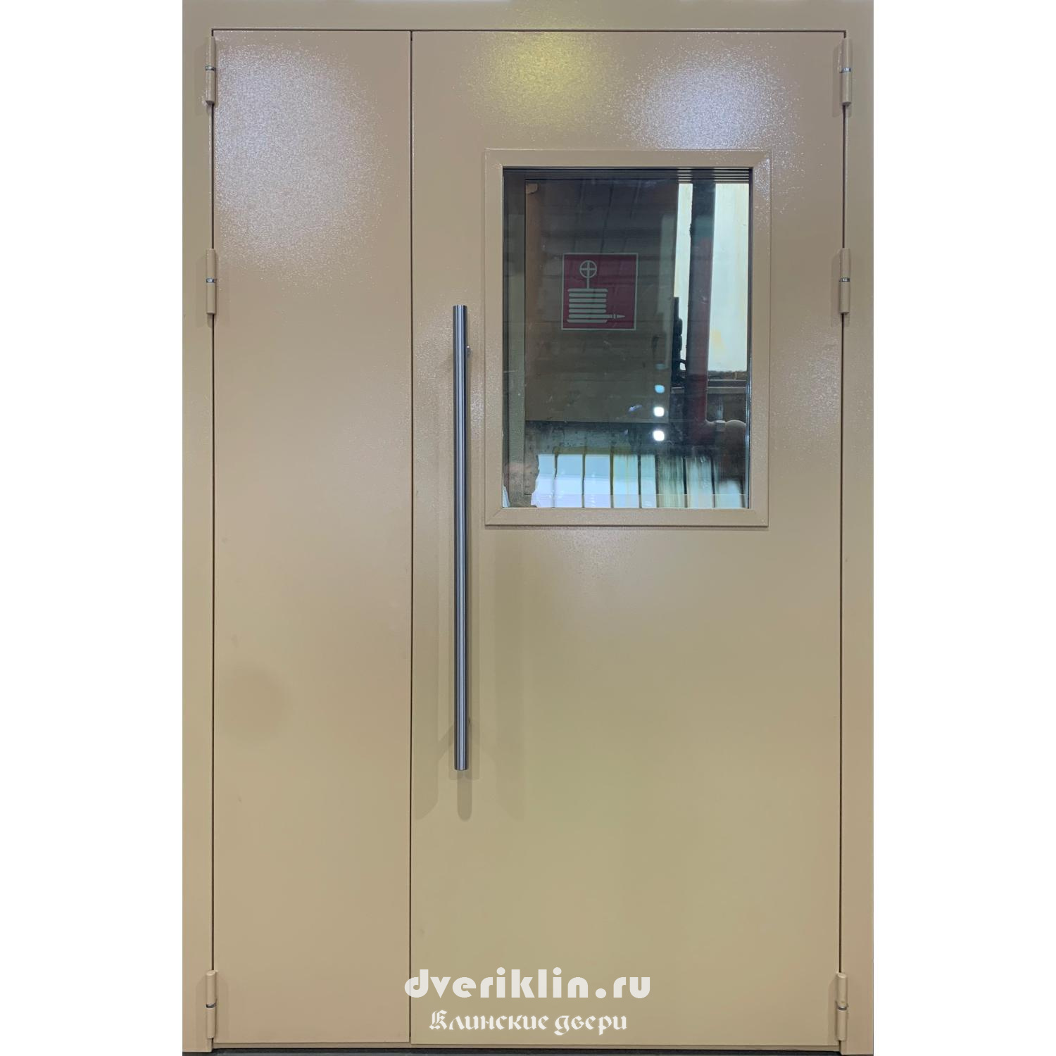 Техническая дверь TH-50 (Технические)