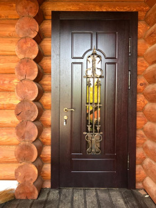 входная дверь со стеклом и ковкой  