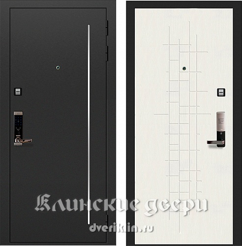 Биометрическая дверь BM-05 (Биометрические)
