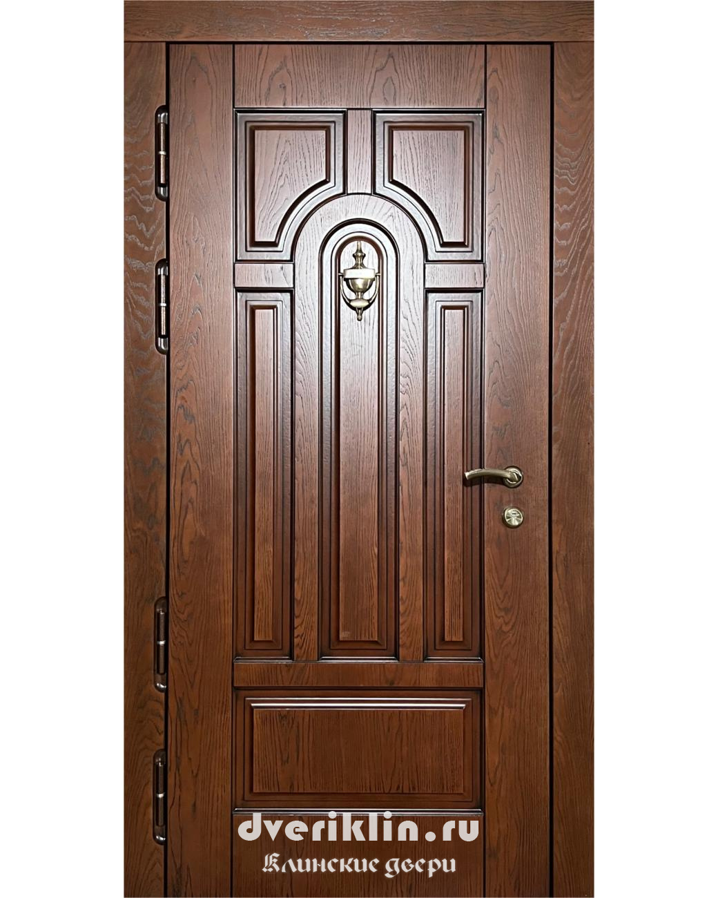 Дверь в дом MDD-03 (В частный дом)