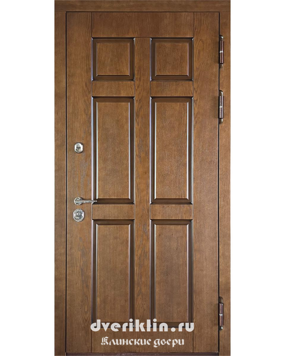 Дверь в дом MDD-01 (В частный дом)
