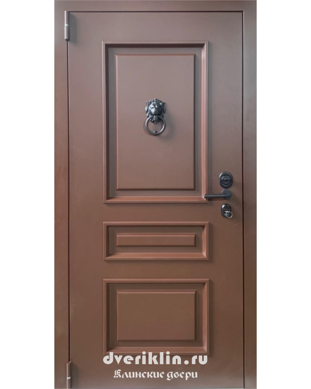 Дверь с Порошковым напылением и МДФ DP-01 (Порошковое напыление)