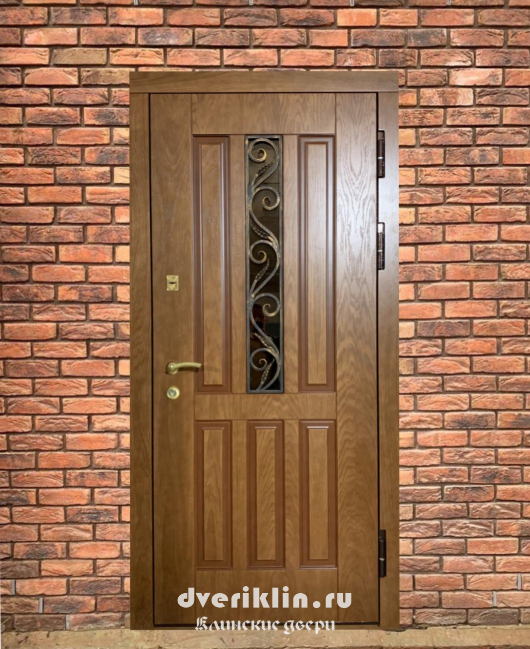 Дверь в дом MDD-13 (В частный дом)