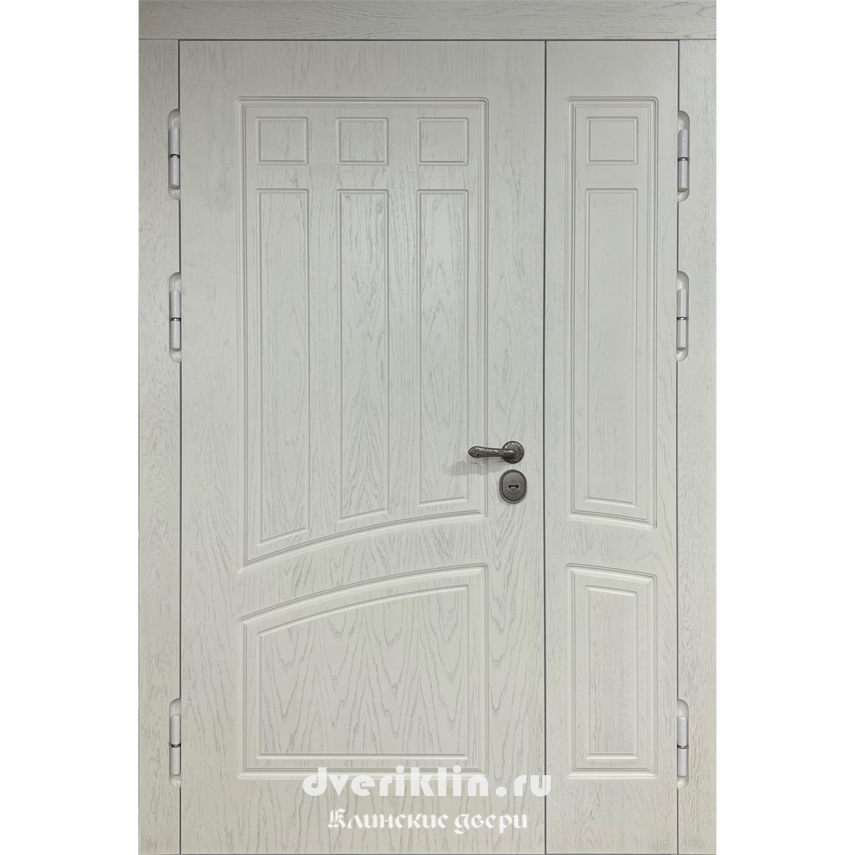 Дверь в дом MDD-12 (В частный дом)