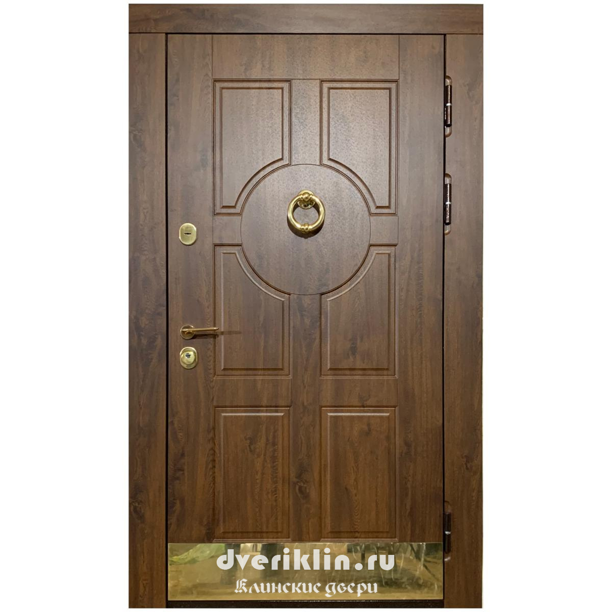 Дверь в дом MDD-38 (В частный дом)