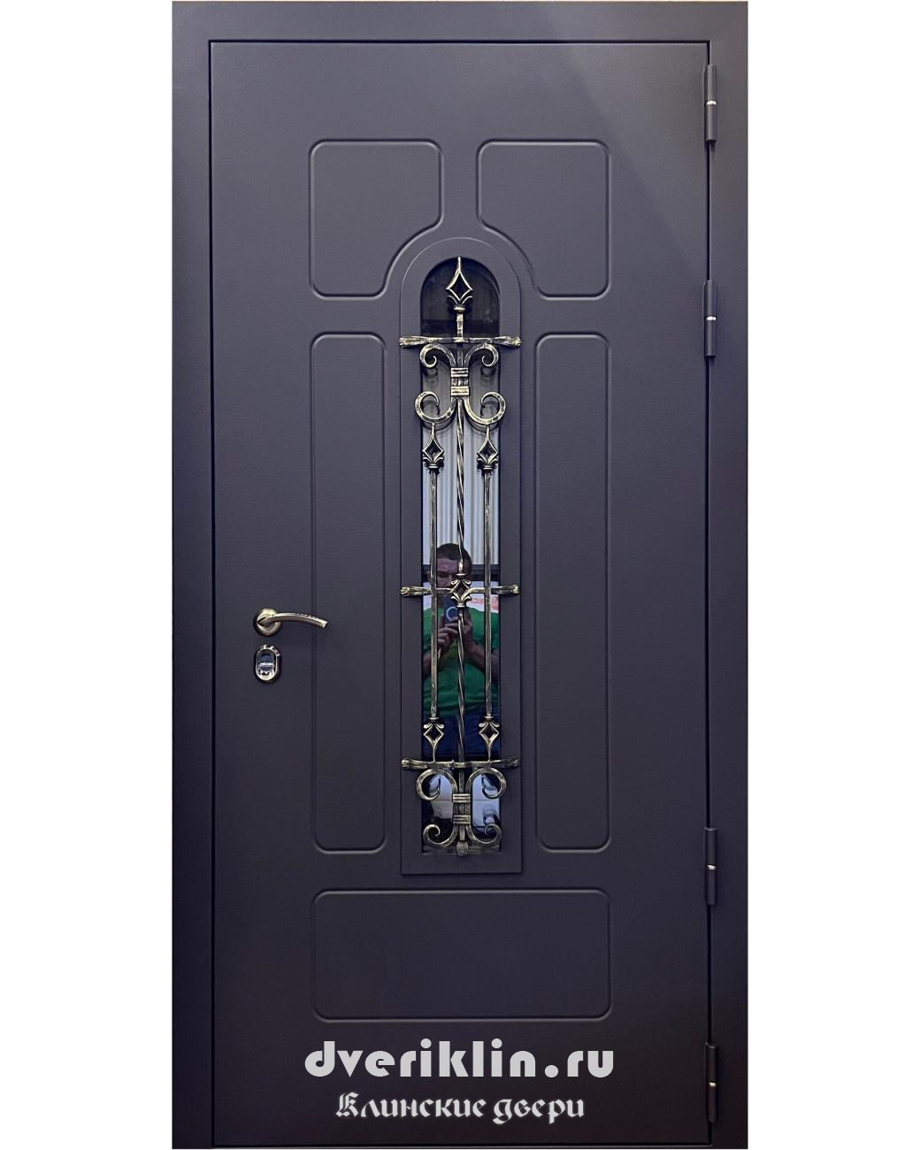 Дверь с рисунком на металле DPR-06 (С рисунком на металле)